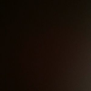 Meet your Posher, Raven